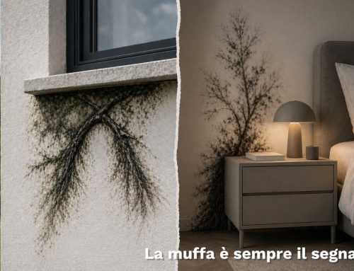 Muffa interna ed esterna: cause invisibili e soluzioni progettuali efficaci